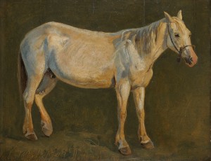 Right view of a standing white horse